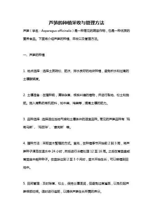 芦笋的种植采收与管理方法