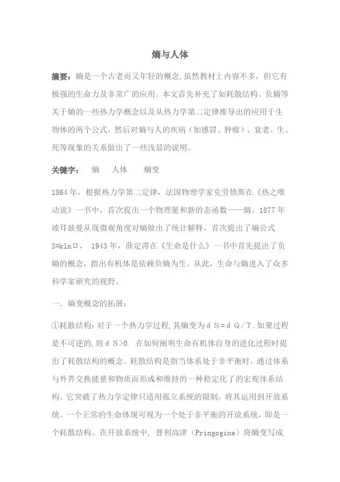 熵与人体
