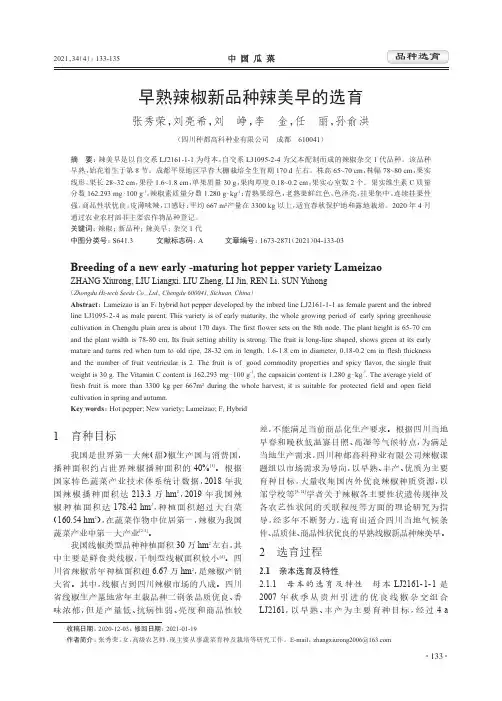 早熟辣椒新品种辣美早的选育