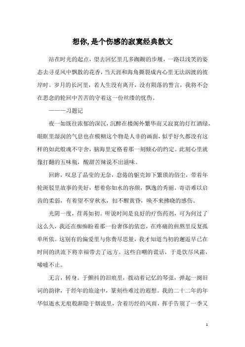 想你,是个伤感的寂寞经典散文