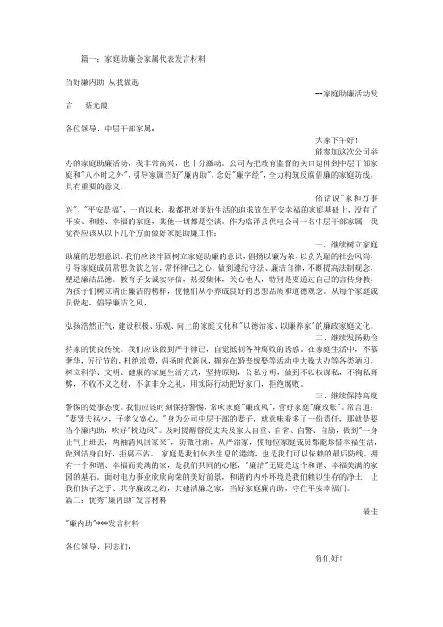 廉内助代表发言材料