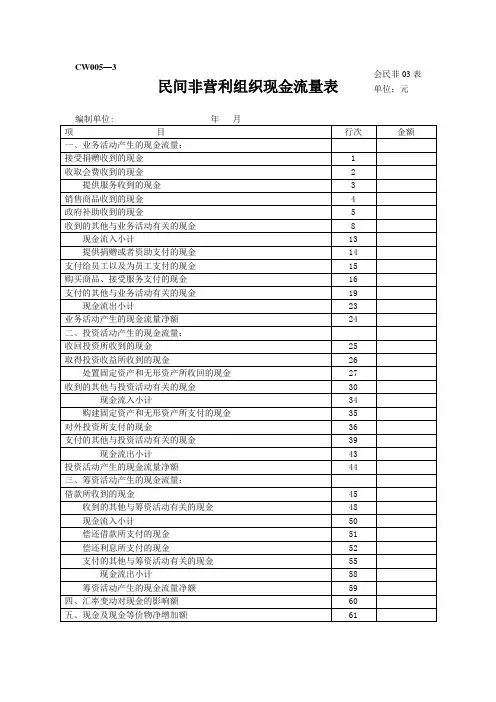 民间非营利组织现金流量表【范本模板】