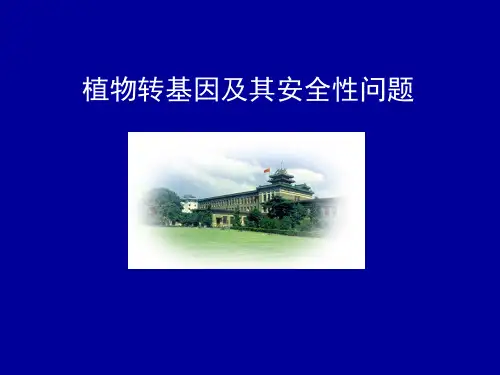 转基因(GM)植物及其安全性(最新)