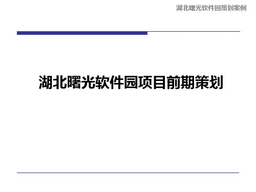 某软件园项目前期策划案