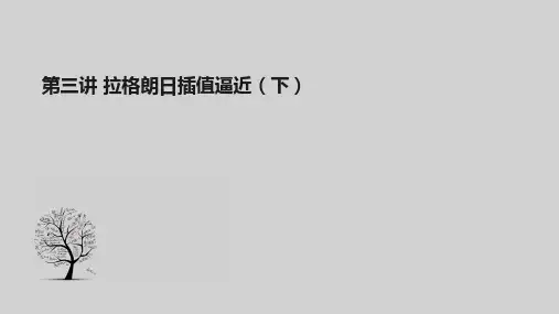 3. 概率论与数理统计 Lagrange插值逼近(下)