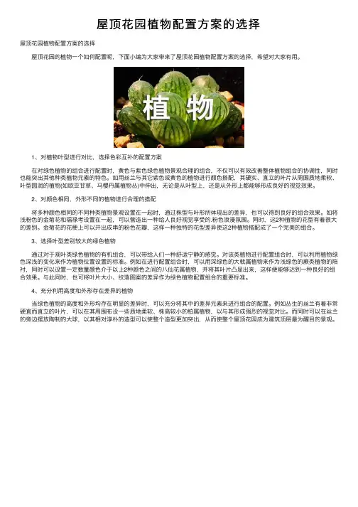 屋顶花园植物配置方案的选择