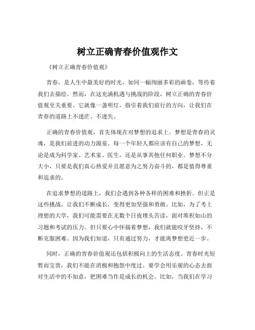 树立正确青春价值观作文