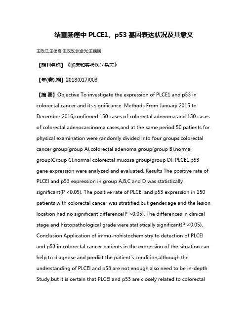 结直肠癌中PLCE1、p53基因表达状况及其意义