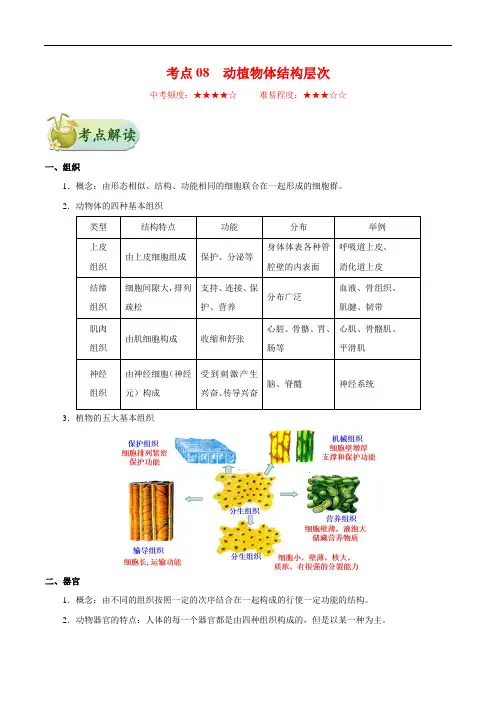 考点08 动植物体的结构层次-2022年生物考点