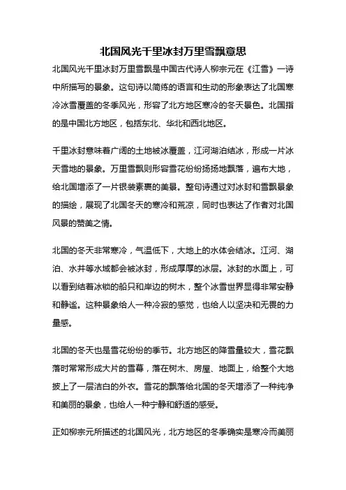 北国风光千里冰封万里雪飘意思