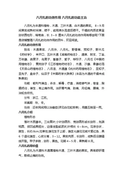 八月扎的功效作用八月扎的功能主治