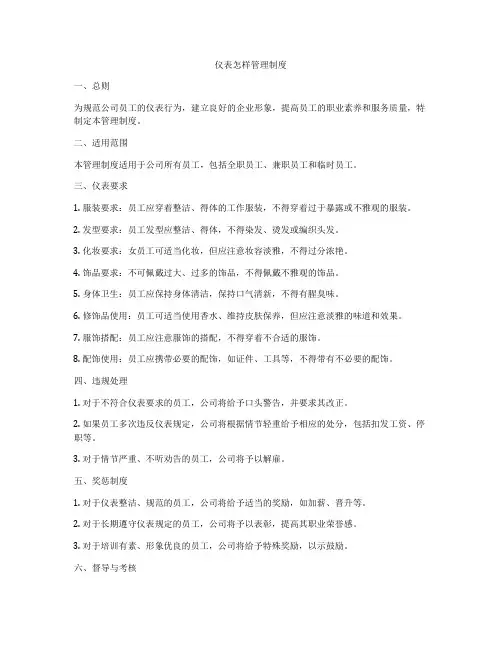 仪表怎样管理制度