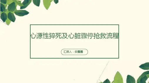 心脏骤停及心源性猝死抢救流程PPT课件