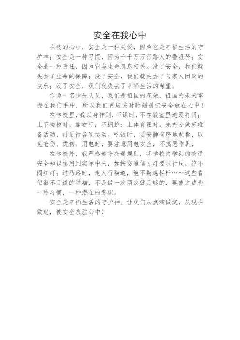 安全在我心中