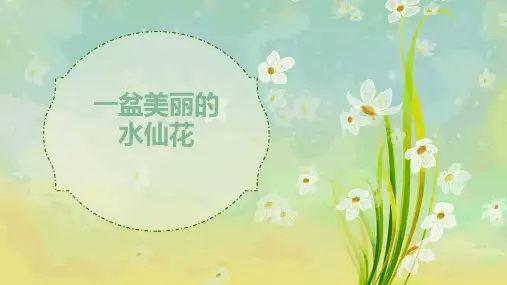 《一盆水仙花》少儿水粉美术PPT课件