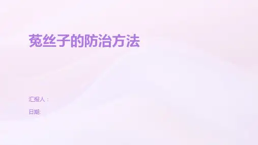 菟丝子的防治方法