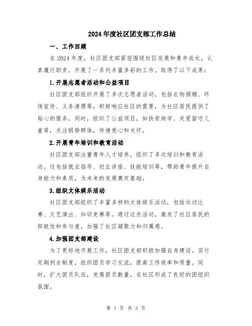 2024年度社区团支部工作总结