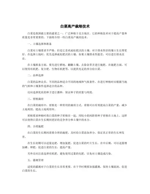 白菜高产栽培技术