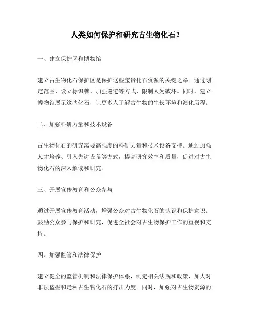 人类如何保护和研究古生物化石?