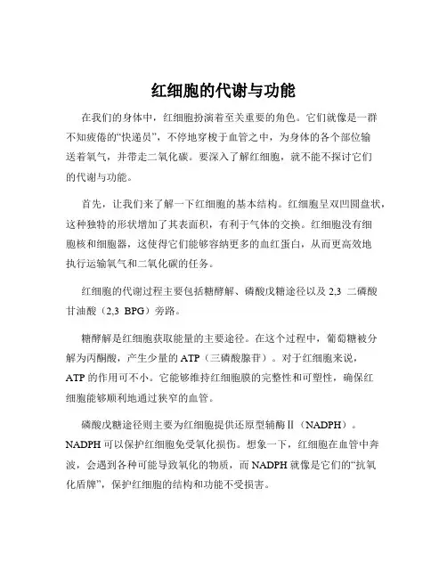 红细胞的代谢与功能