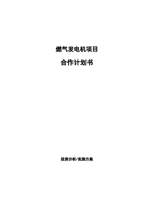 燃气发电机项目合作计划书