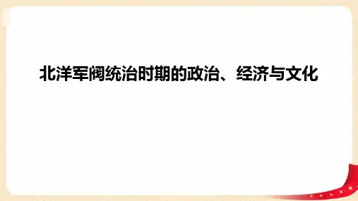 《北洋军阀统治时期的政治、经济与文化》PPT优秀课件
