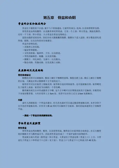 解剖学 第五章