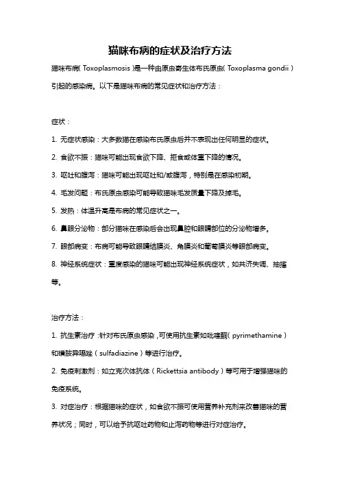 猫咪布病的症状及治疗方法