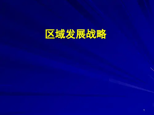 (精品)区域分析与区域规划课件：区域发展战略