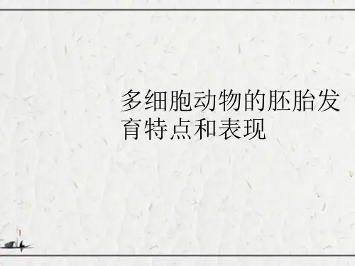多细胞动物的胚胎发育特点和表现