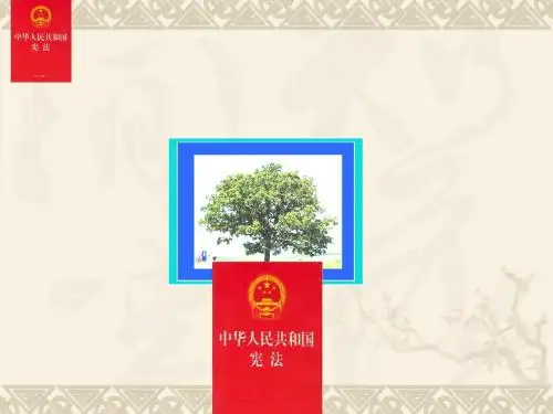 人教版九年级全一册第六课第二框宪法是国家的根本大法(共19张PPT)