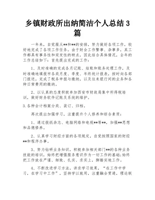 乡镇财政所出纳简洁个人总结3篇
