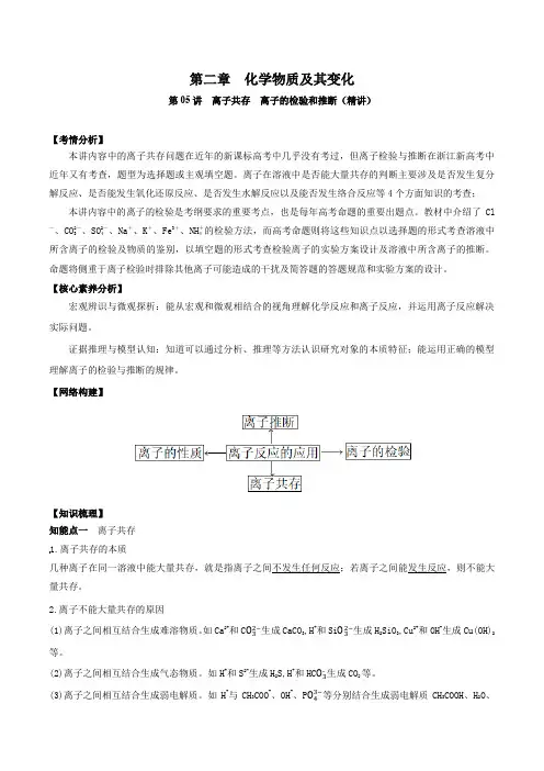 高中化学第05讲  离子共存 离子的检验和推断(精讲)-2022年一轮复习讲练测(解析版)