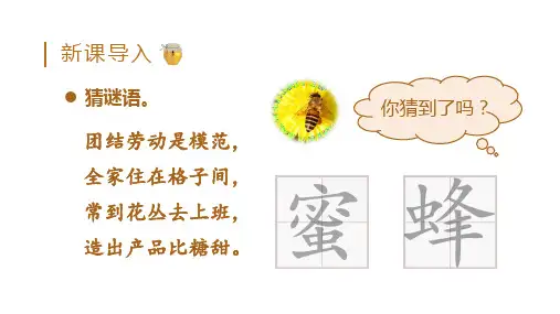 部编版三年级语文下册14.蜜蜂课件(共51张PPT)