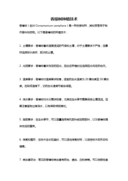香樟树种植技术