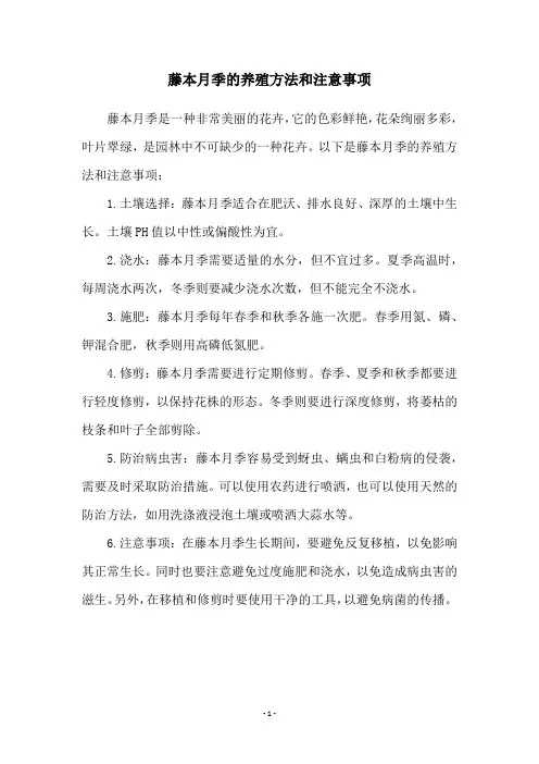藤本月季的养殖方法和注意事项