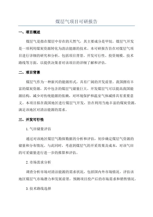 煤层气项目可研报告