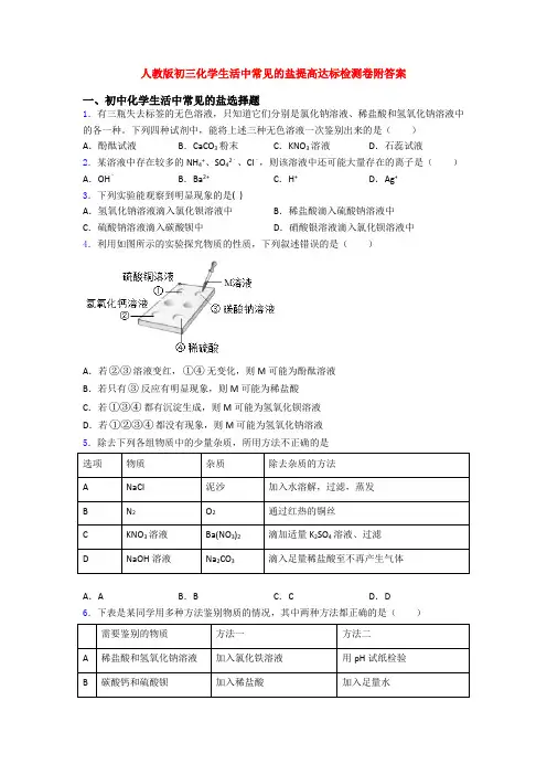 人教版初三化学生活中常见的盐提高达标检测卷附答案