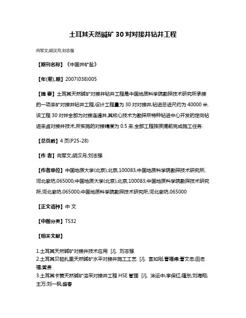 土耳其天然碱矿30对对接井钻井工程