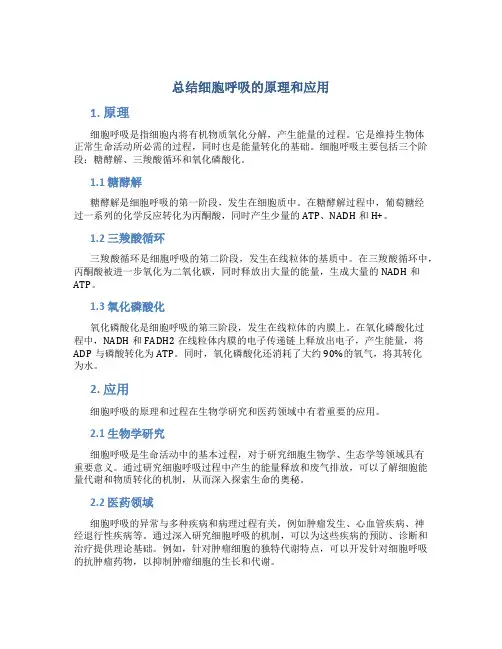总结细胞呼吸的原理和应用