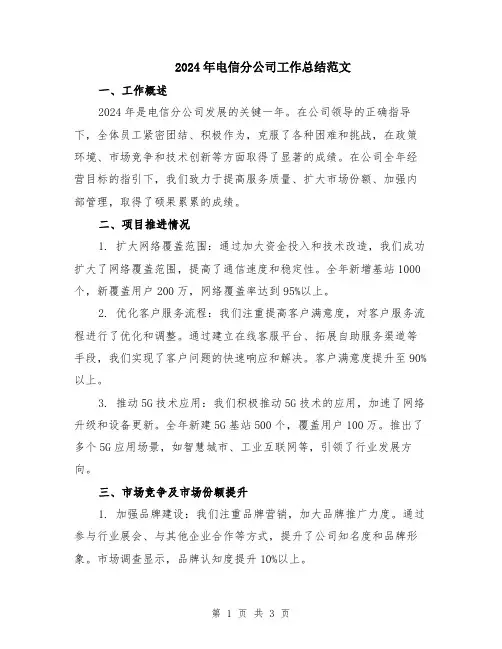 2024年电信分公司工作总结范文
