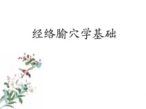 经络腧穴学基础