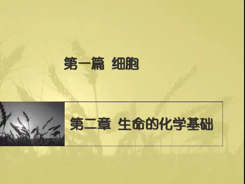 第一篇 2 生命的化学基础