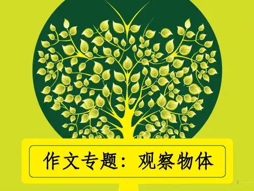 作文观察物体PPT课件
