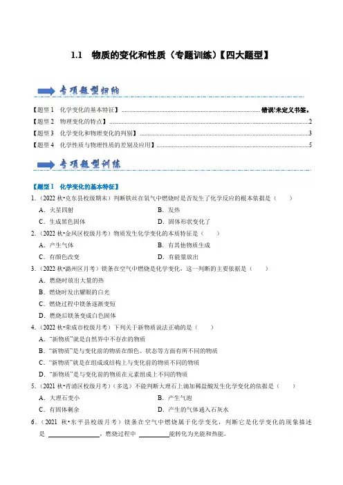 11物质的变化和性质(专题训练)(原卷版)
