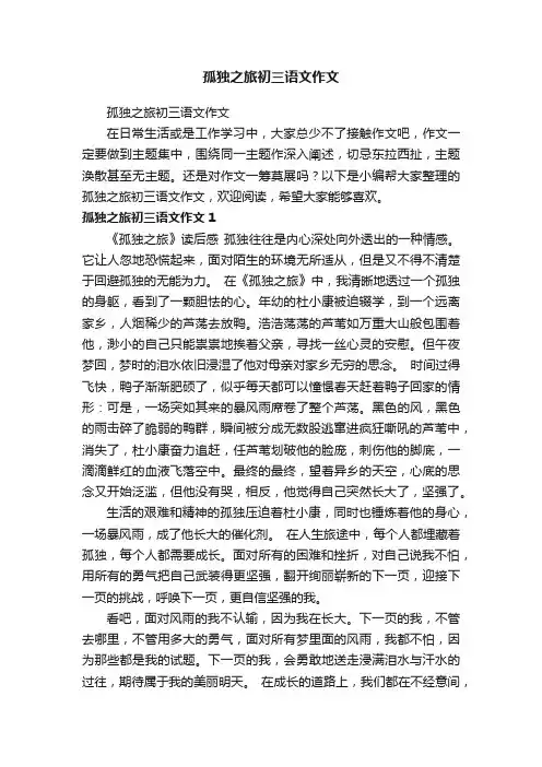 孤独之旅初三语文作文