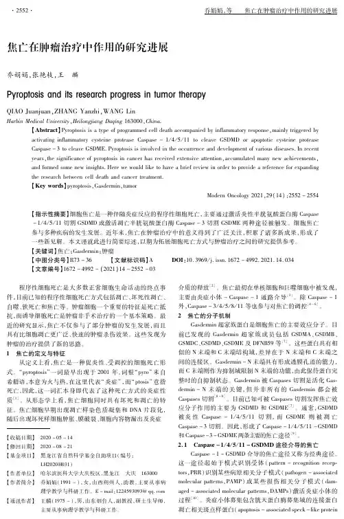 焦亡在肿瘤治疗中作用的研究进展