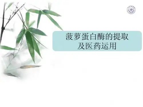 菠萝蛋白酶