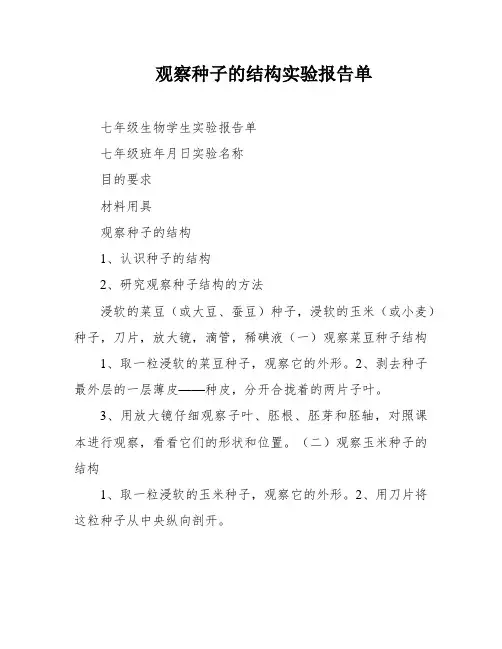 观察种子的结构实验报告单