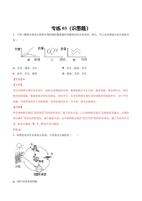 题型03(识图题)-(人教版)(解析版)